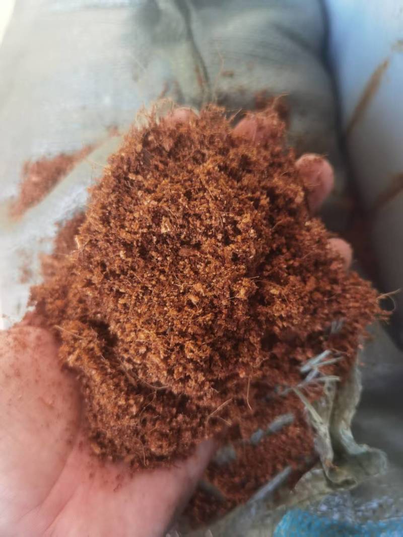 袋装椰糠免泡发种花种菜花卉绿植盆栽乌龟专用冬眠土竹虫蟋蟀