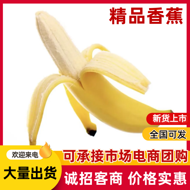 【精选】香蕉批发产地直发量大从优可对接全国客商欢迎采购