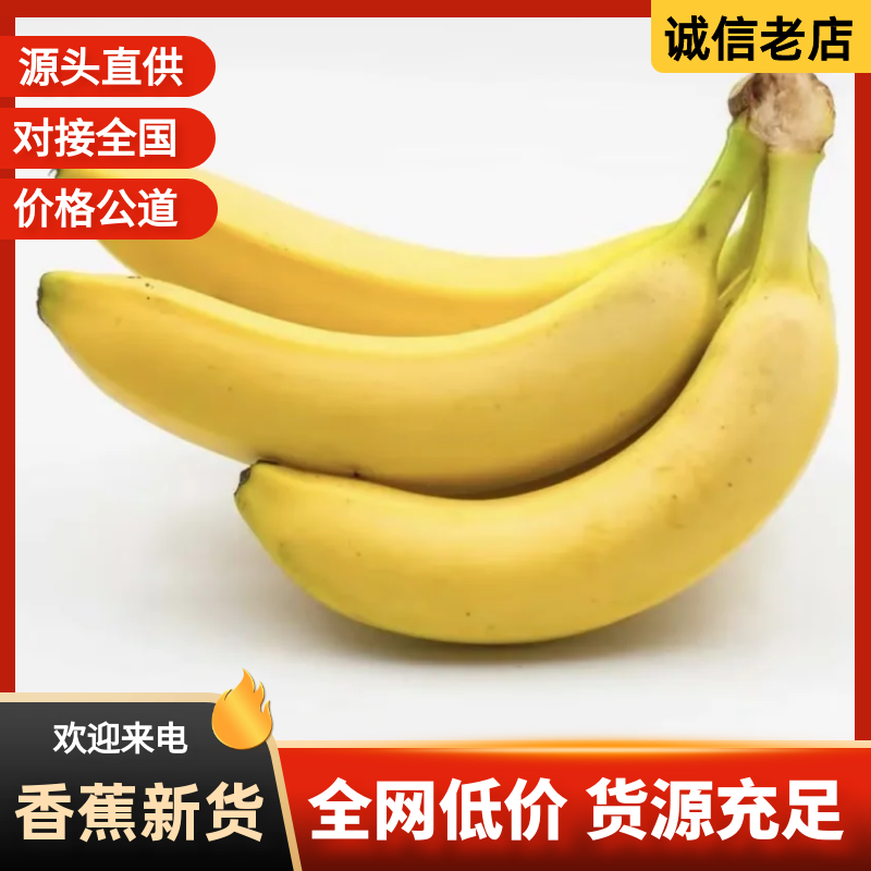 【精选】香蕉批发产地直发量大从优可对接全国客商欢迎采购