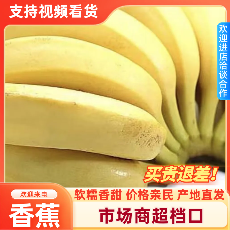 【精选】香蕉批发产地直发量大从优可对接全国客商欢迎采购