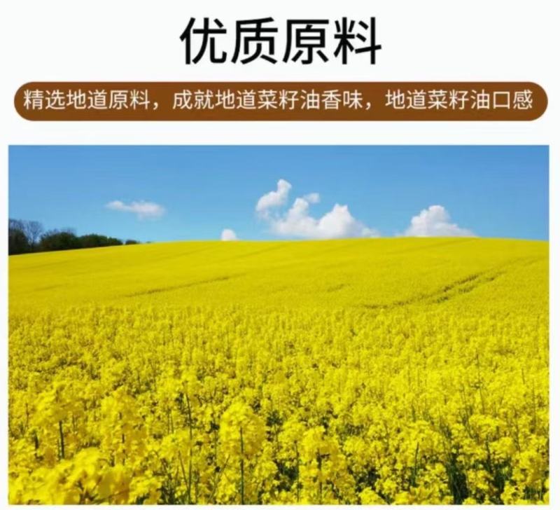 菜当家纯菜籽油品质保证价格优惠实力商家