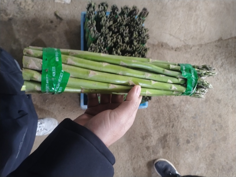 芦笋新鲜芦笋现挖现发规格齐全产地直供欢迎来电