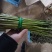 芦笋新鲜芦笋现挖现发规格齐全产地直供欢迎来电