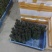 芦笋新鲜芦笋现挖现发规格齐全产地直供欢迎来电