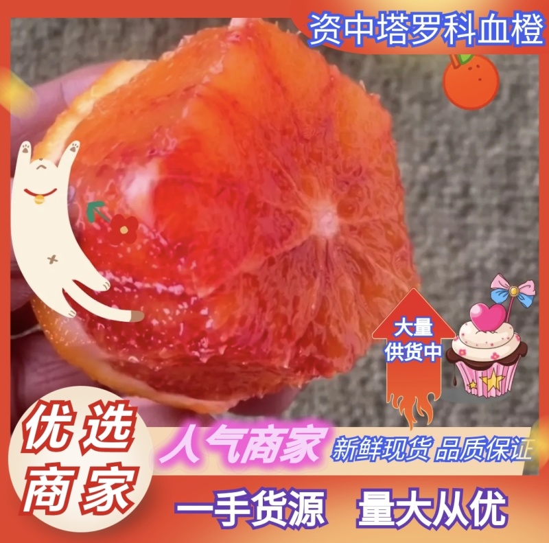 资中塔罗科血橙晚熟8号产地一手货源量大从优价格实惠