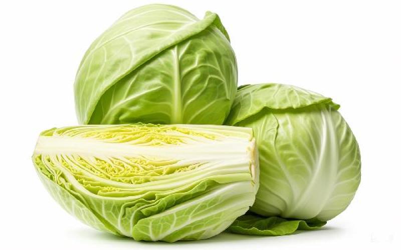 陕西精品包菜/量大从优/可视频看货/产地直发