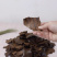 茶麸茶籽粉茶枯片块饼渣泡沫洗头清洁护发养发洗碗水果茶枯粉