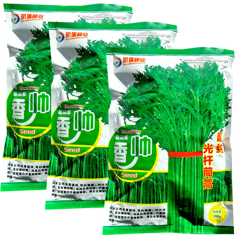香帅光杆茼蒿种子500g纯度高小叶产量高皇帝菜蔬菜种子