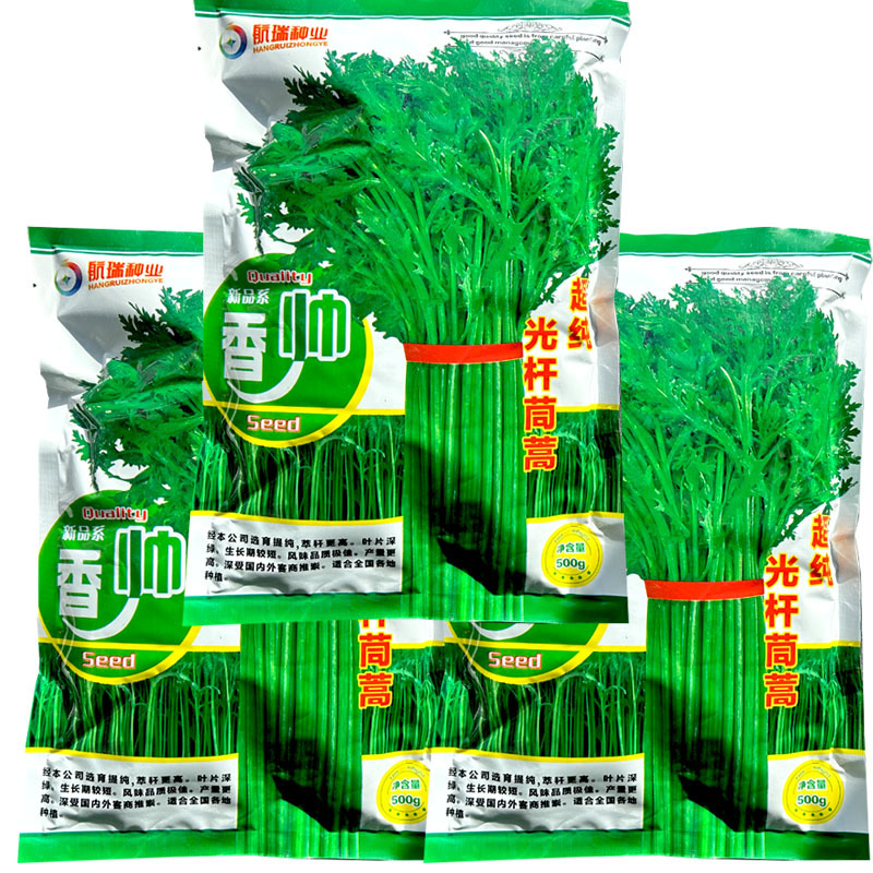 香帅光杆茼蒿种子500g纯度高小叶产量高皇帝菜蔬菜种子