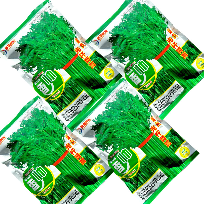 香帅光杆茼蒿种子500g纯度高小叶产量高皇帝菜蔬菜种子