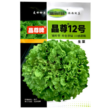 晶尊12号生菜种子皱叶型10克叶色翠绿口感甜脆基地品种