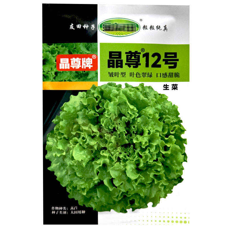 晶尊12号生菜种子皱叶型10克叶色翠绿口感甜脆基地品种