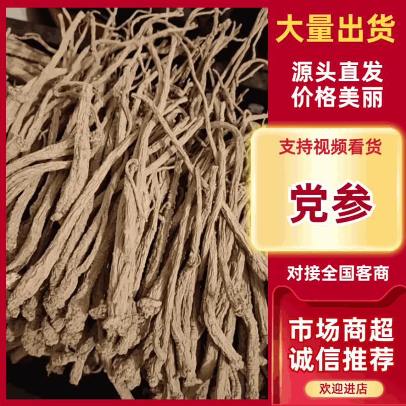 甘肃岷县白条党参25年新货品质保证服务周到产地直发