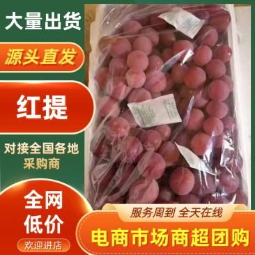 河北涿鹿县红提涿鹿红提葡萄通货精品都有货源充足
