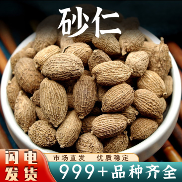砂仁中药材香料砂仁果沙仁果毛砂仁西砂仁米新鲜小缩砂仁香砂