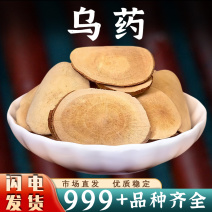 乌药中药材浙江乌药根乌药大片新鲜干货