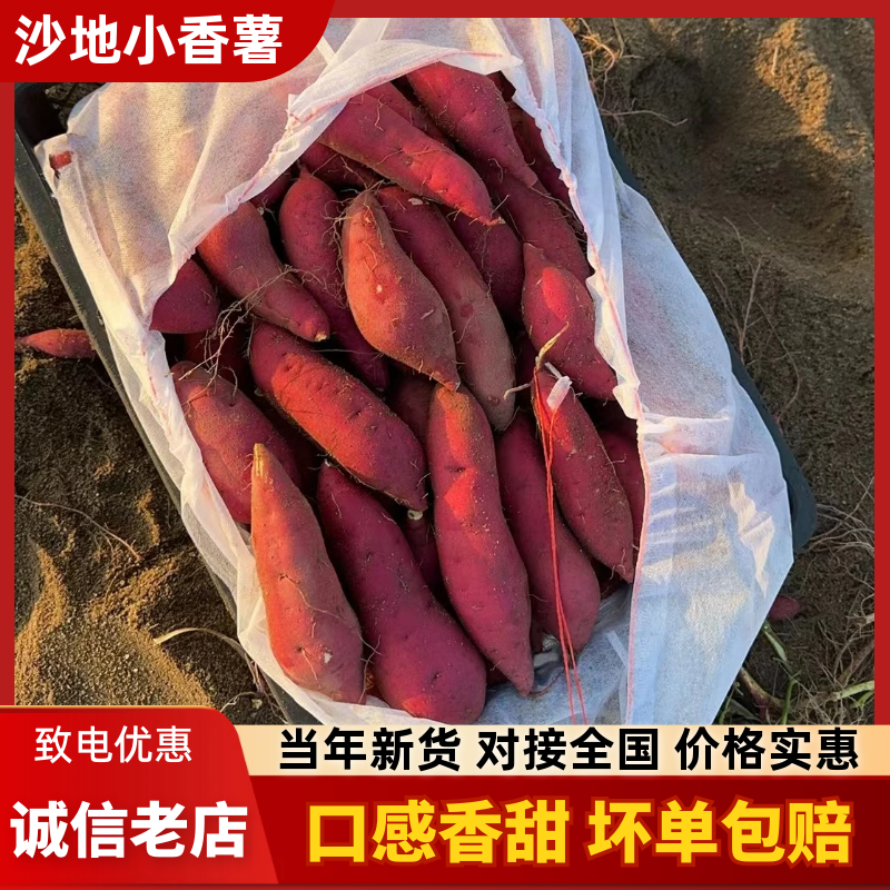 沙地小香薯，大量上市，供应链代发，对接全国连锁商超、档口