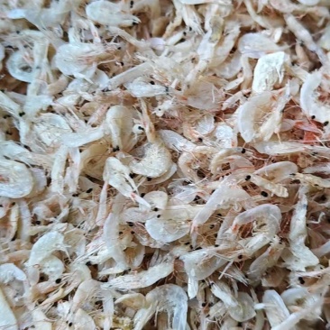咸味虾皮干虾皮优质货源大量有货也有实体店面