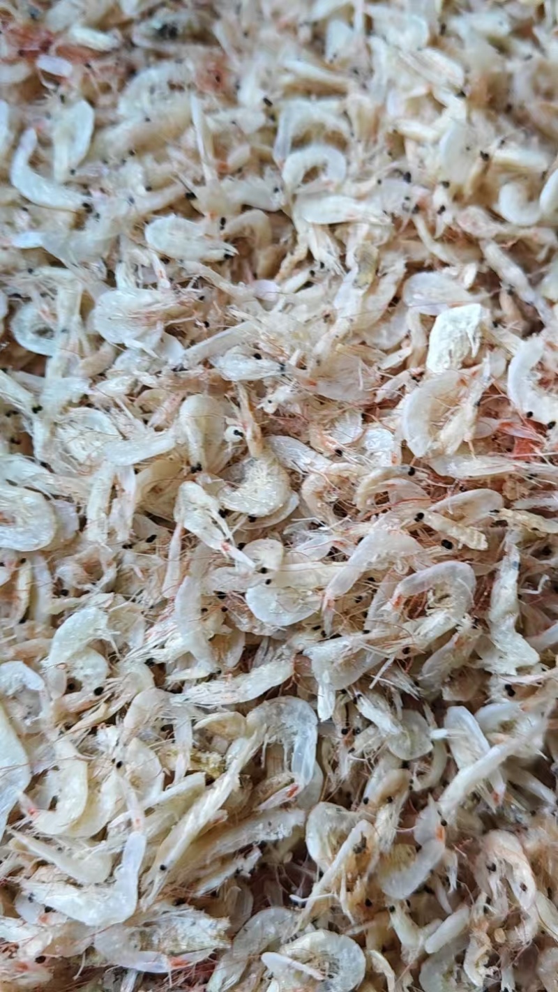 咸味虾皮干虾皮优质货源大量有货也有实体店面