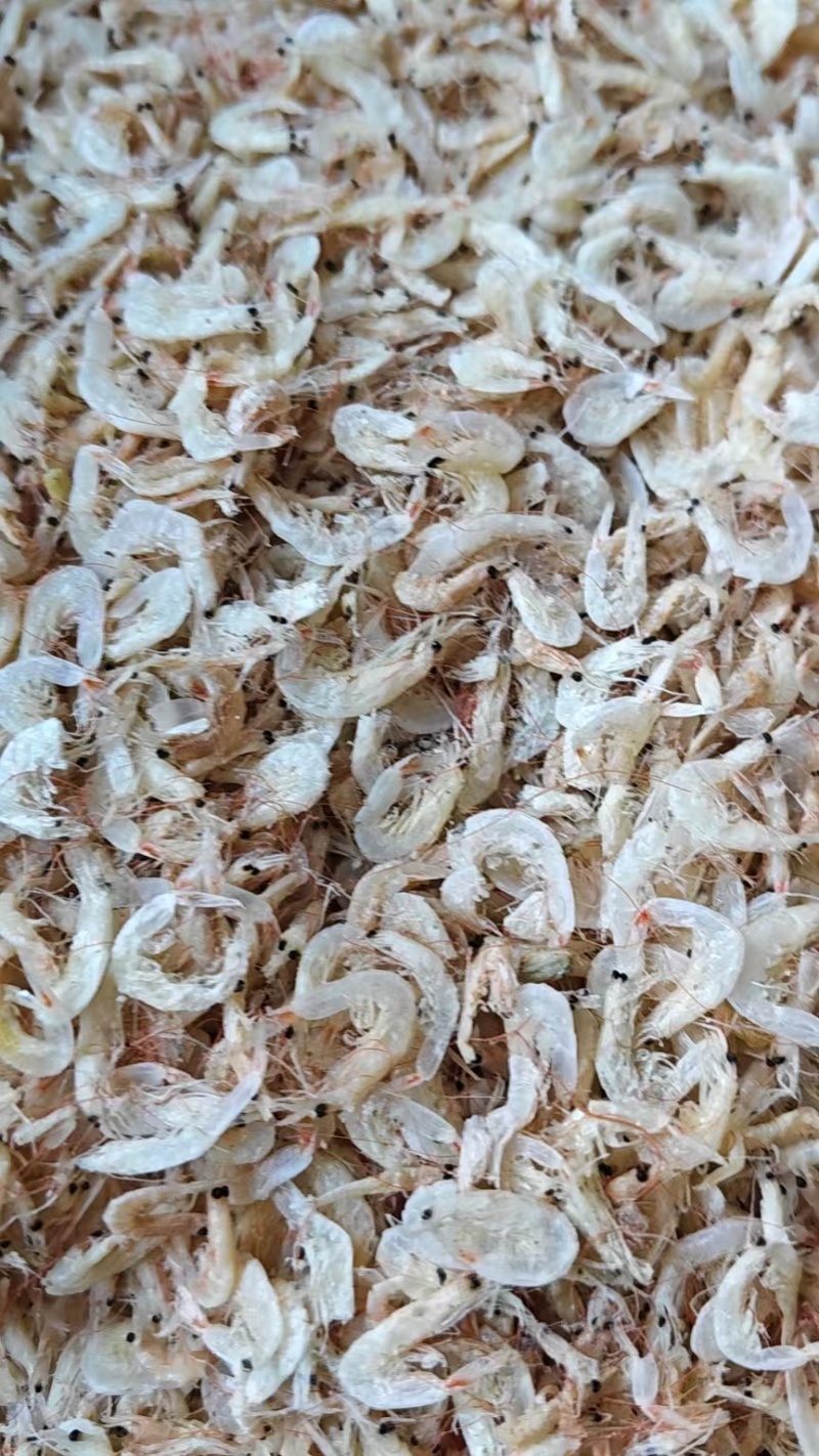 咸味虾皮干虾皮优质货源大量有货也有实体店面