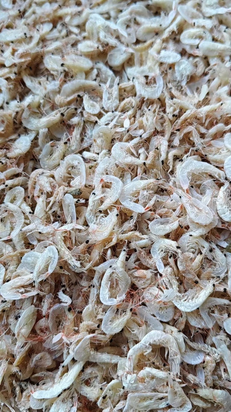咸味虾皮干虾皮优质货源大量有货也有实体店面
