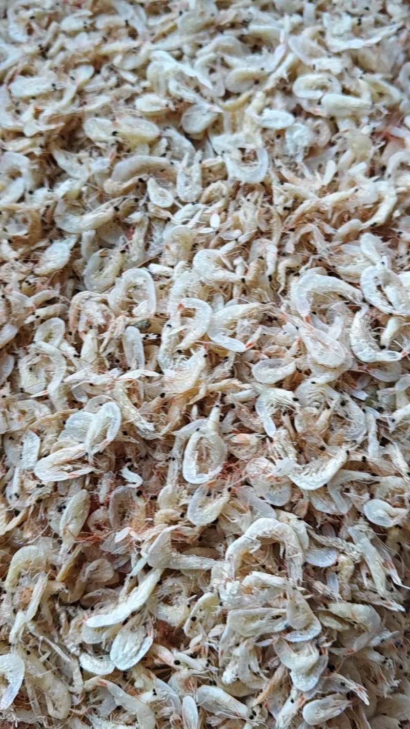 咸味虾皮干虾皮优质货源大量有货也有实体店面