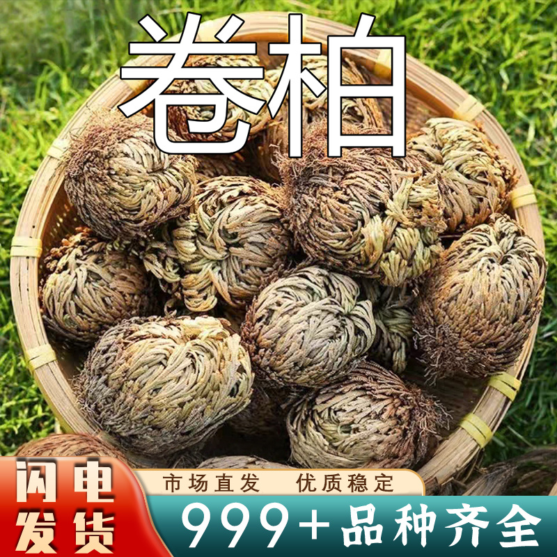 云南野生卷柏中药材精选天然无硫中草药还阳草正宗