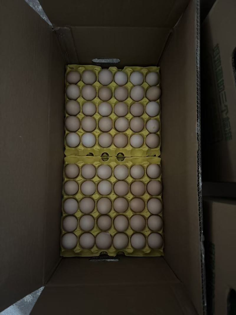 精品双色大午金凤土鸡蛋，一手货源，原场直发，量大更优惠