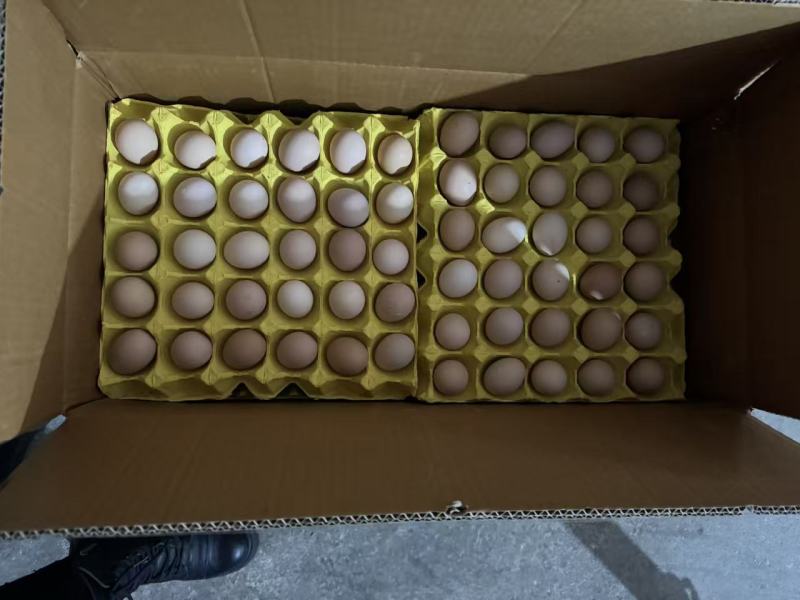 精品双色大午金凤土鸡蛋，一手货源，原场直发，量大更优惠
