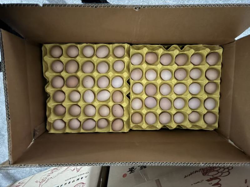 精品双色大午金凤土鸡蛋，一手货源，原场直发，量大更优惠