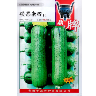 鼎牌硬果亲田硬果太美大棚之爱丝瓜种子翠绿短棒糯香高产丝瓜