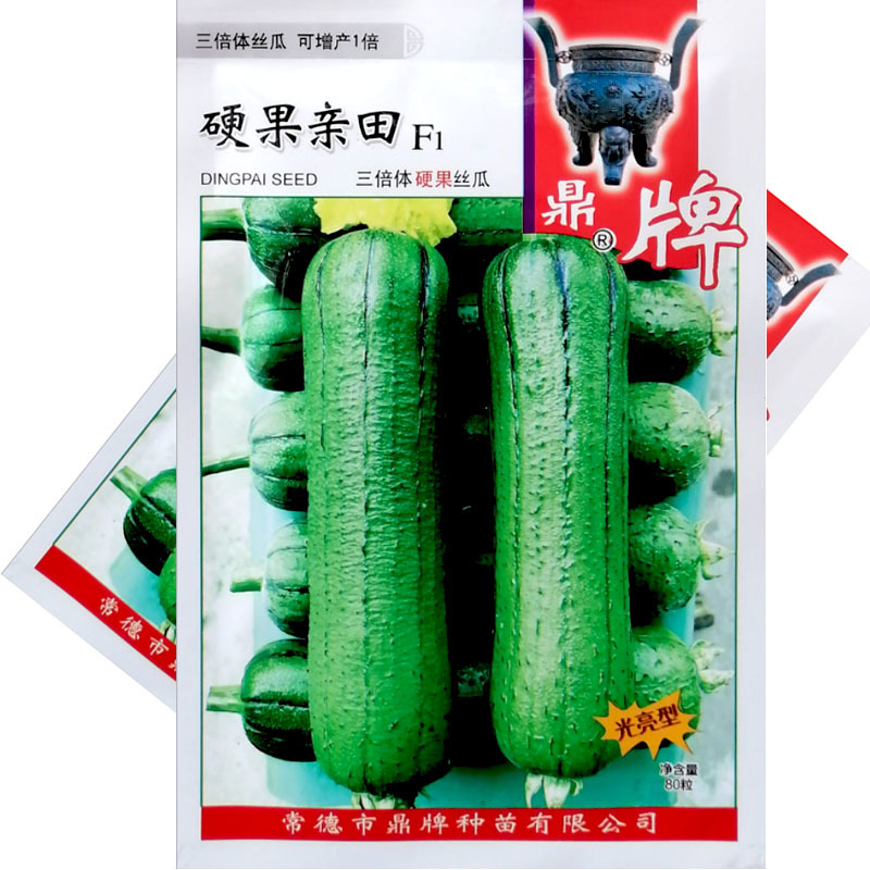 鼎牌硬果亲田硬果太美大棚之爱丝瓜种子翠绿短棒糯香高产丝瓜