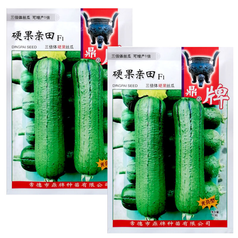 鼎牌硬果亲田硬果太美大棚之爱丝瓜种子翠绿短棒糯香高产丝瓜
