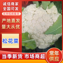 松花菜花菜云南产地直发量大从优可对接全国客商商超市场