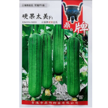 鼎牌硬果太美丝瓜种子翠绿短棒糯香油亮早熟高产丝瓜