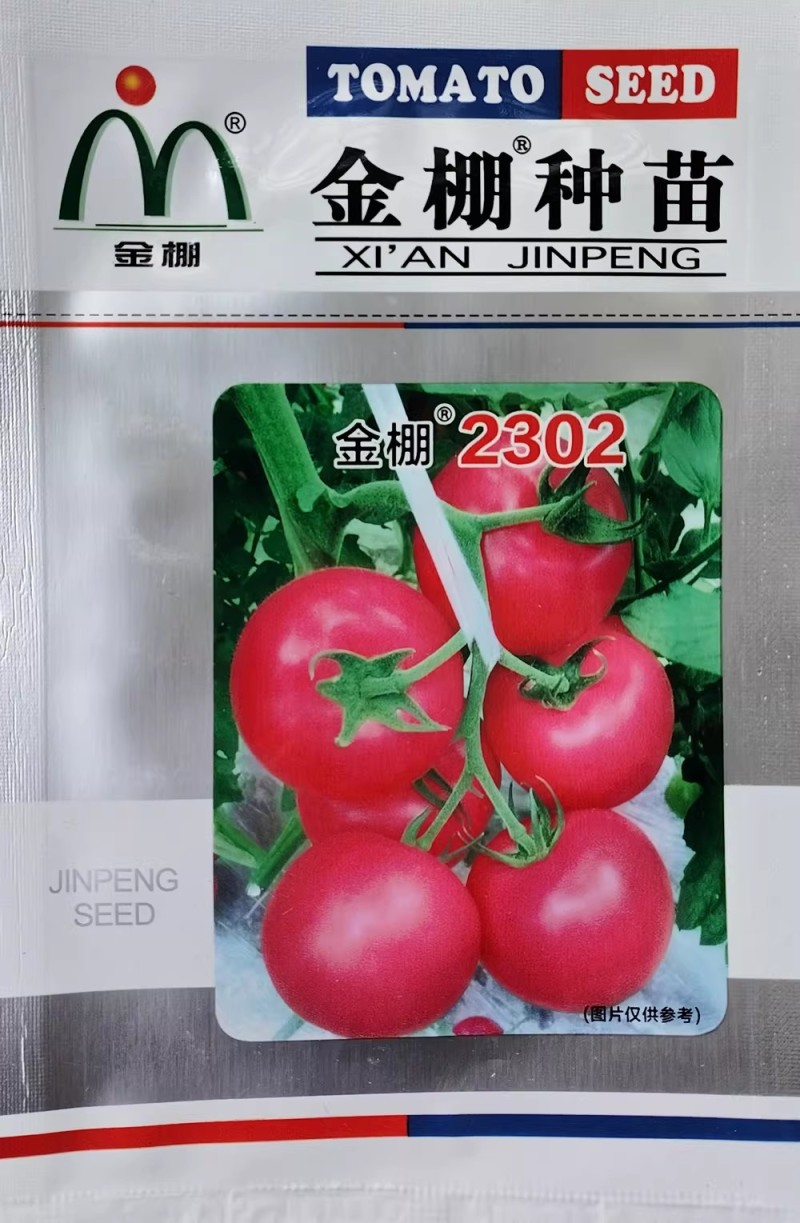 金棚2302番茄种子大果型西红柿种籽无限生长粉果早熟沙瓤