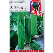 鼎牌大棚之爱三倍体丝瓜种子特早熟硬果中棒皮嫩绿
