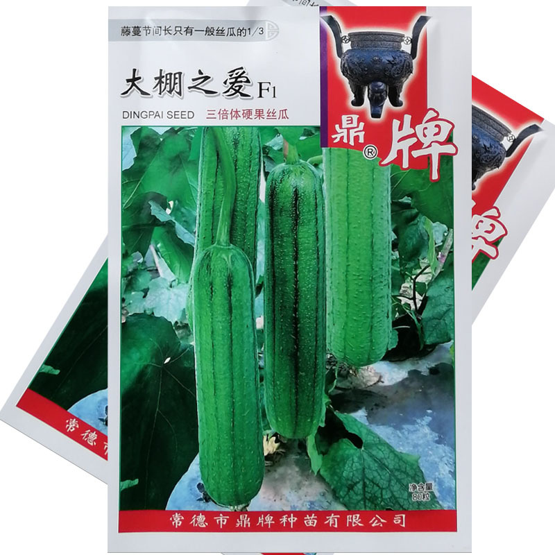 鼎牌大棚之爱三倍体丝瓜种子特早熟硬果中棒皮嫩绿