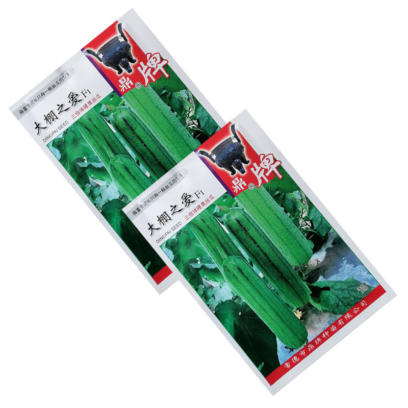 鼎牌大棚之爱三倍体丝瓜种子特早熟硬果中棒皮嫩绿