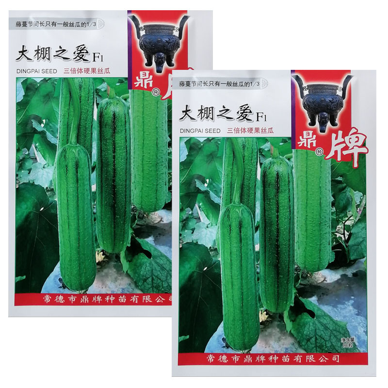 鼎牌大棚之爱三倍体丝瓜种子特早熟硬果中棒皮嫩绿