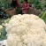 精品菜花湖北松花菜对接电商市场商超可视频看货
