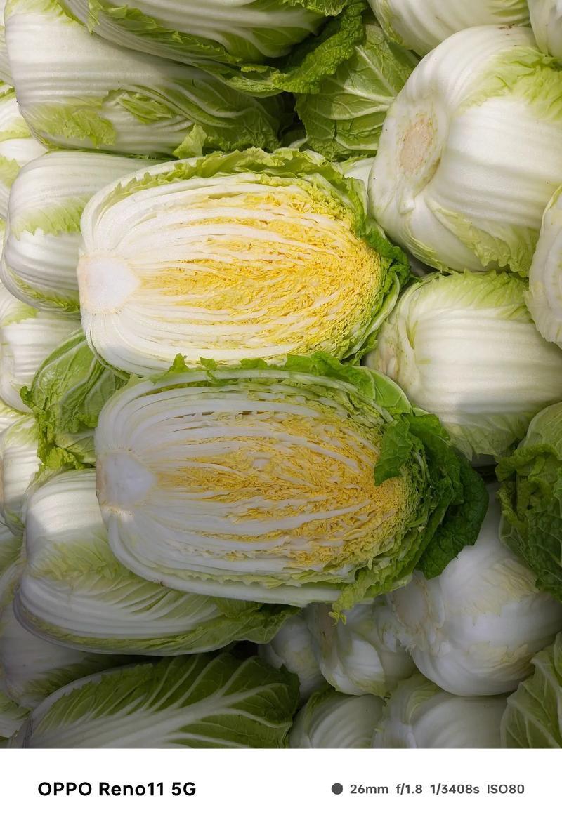 热卖推荐大白菜湖北黄心白菜对接电商市场商超可视频