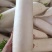热卖推荐萝卜湖北白萝卜基地一手货源全国发货可视频
