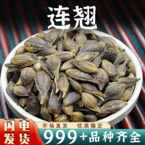 连翘中药材秦岭莲翘连翘正品新鲜泡水干货