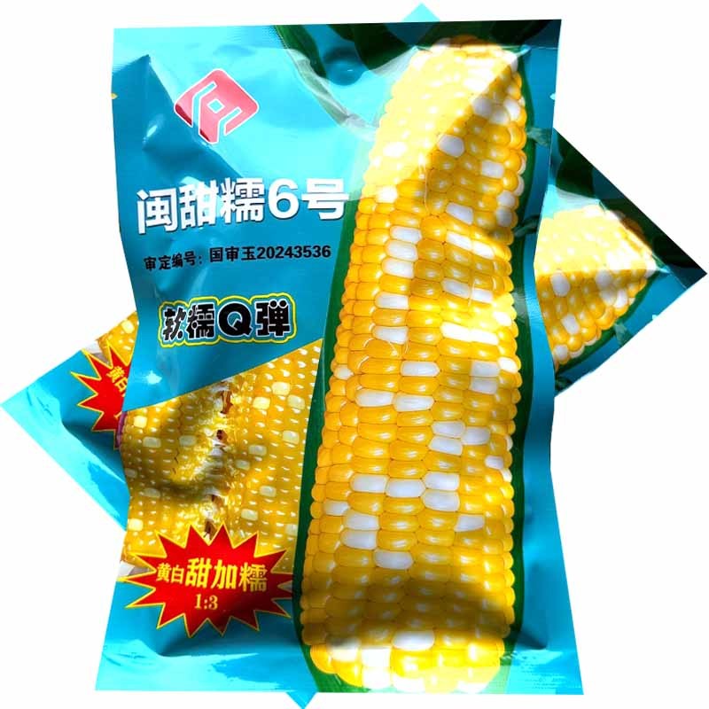 闽甜糯6号玉米种子黄白双色甜糯玉米种子软糯Q弹鲜食糯玉米