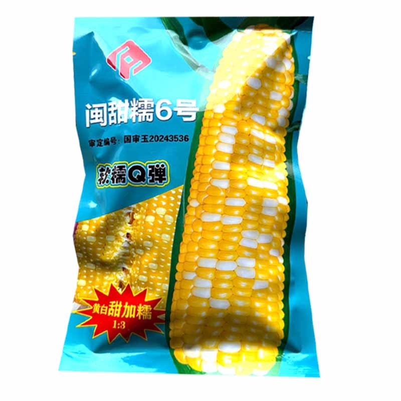 闽甜糯6号玉米种子黄白双色甜糯玉米种子软糯Q弹鲜食糯玉米