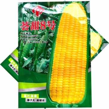 荟甜8号水果玉米种子生吃鲜食超甜玉米种子大棒苞叶浓绿