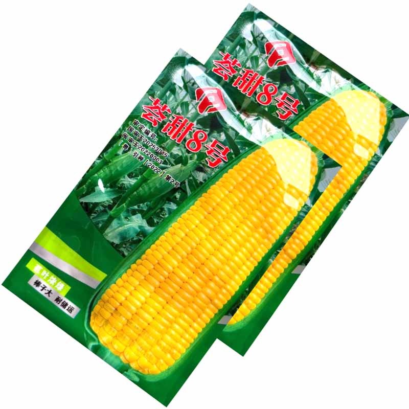 荟甜8号水果玉米种子生吃鲜食超甜玉米种子大棒苞叶浓绿
