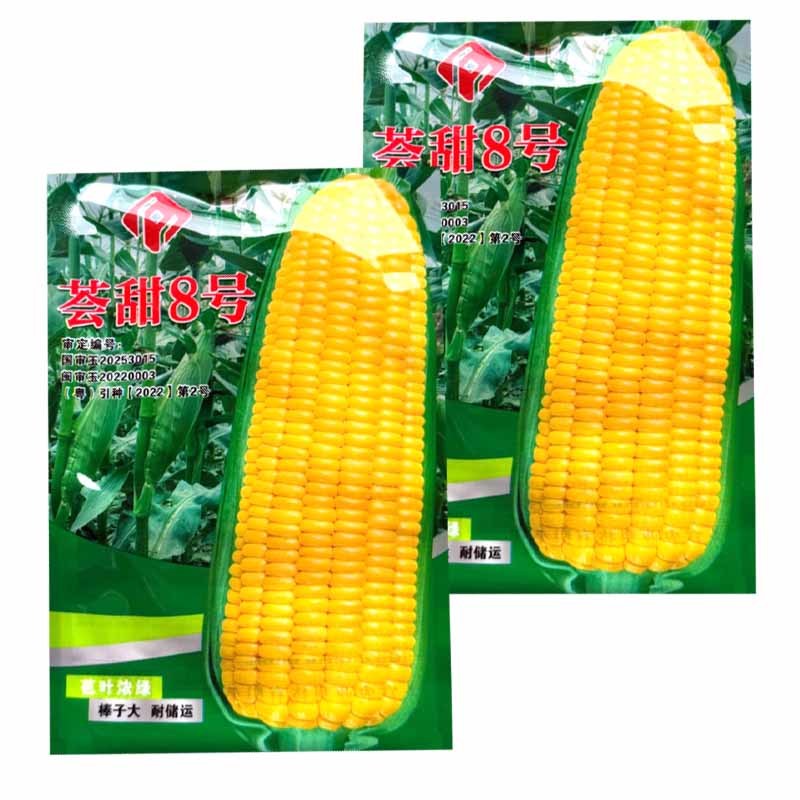 荟甜8号水果玉米种子生吃鲜食超甜玉米种子大棒苞叶浓绿