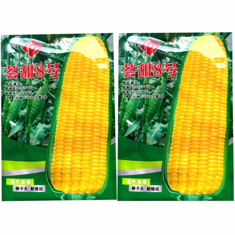 荟甜8号水果玉米种子生吃鲜食超甜玉米种子大棒苞叶浓绿